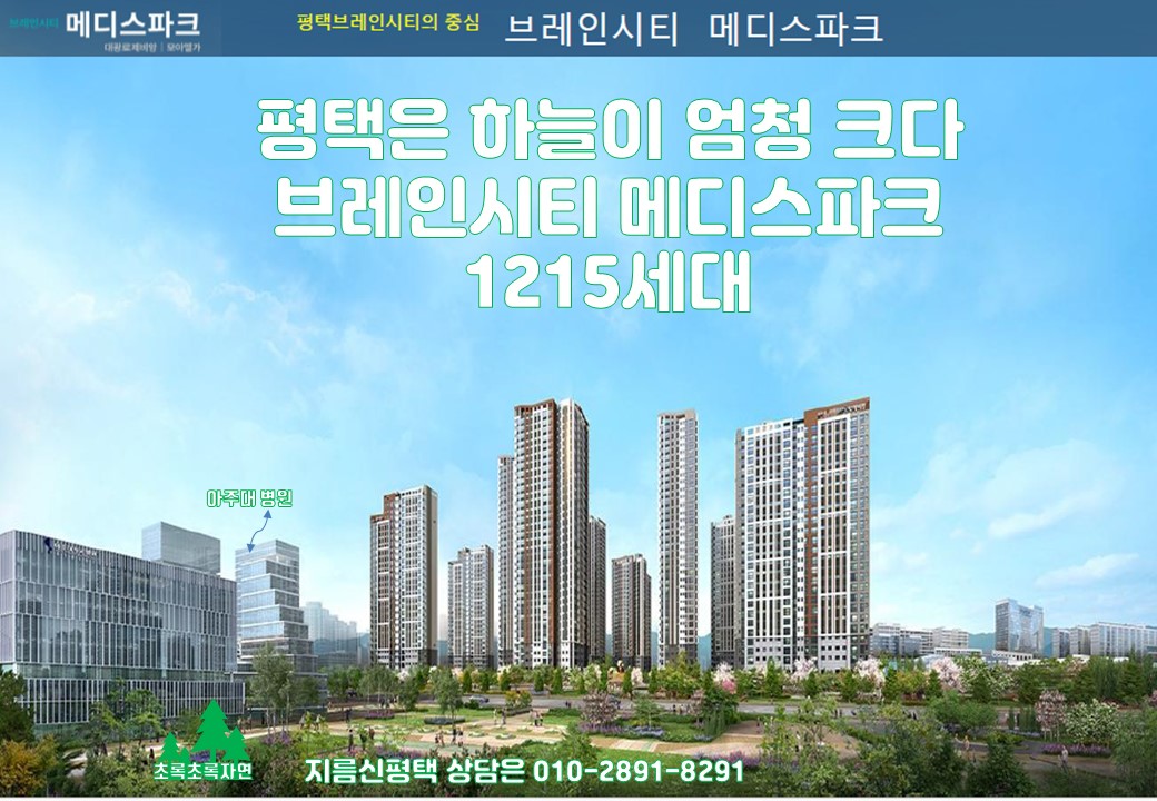 브레인시티 메디스파크